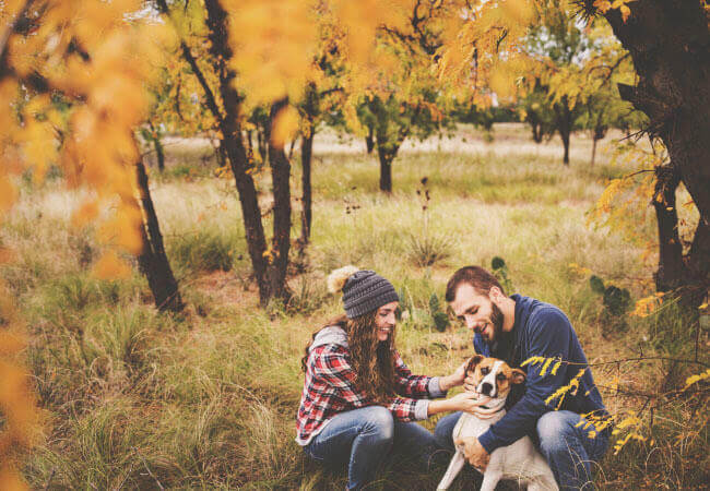 Life Doesn’t Have To Be a Pain in the Neck!