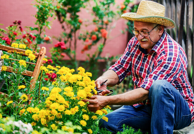 What's Causing Your Shoulder Pain? Discover Relief With Physical Therapy